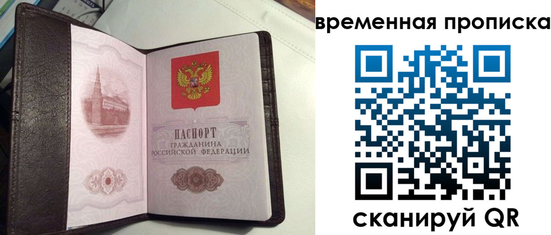 прописка 2025 в Кингисеппе